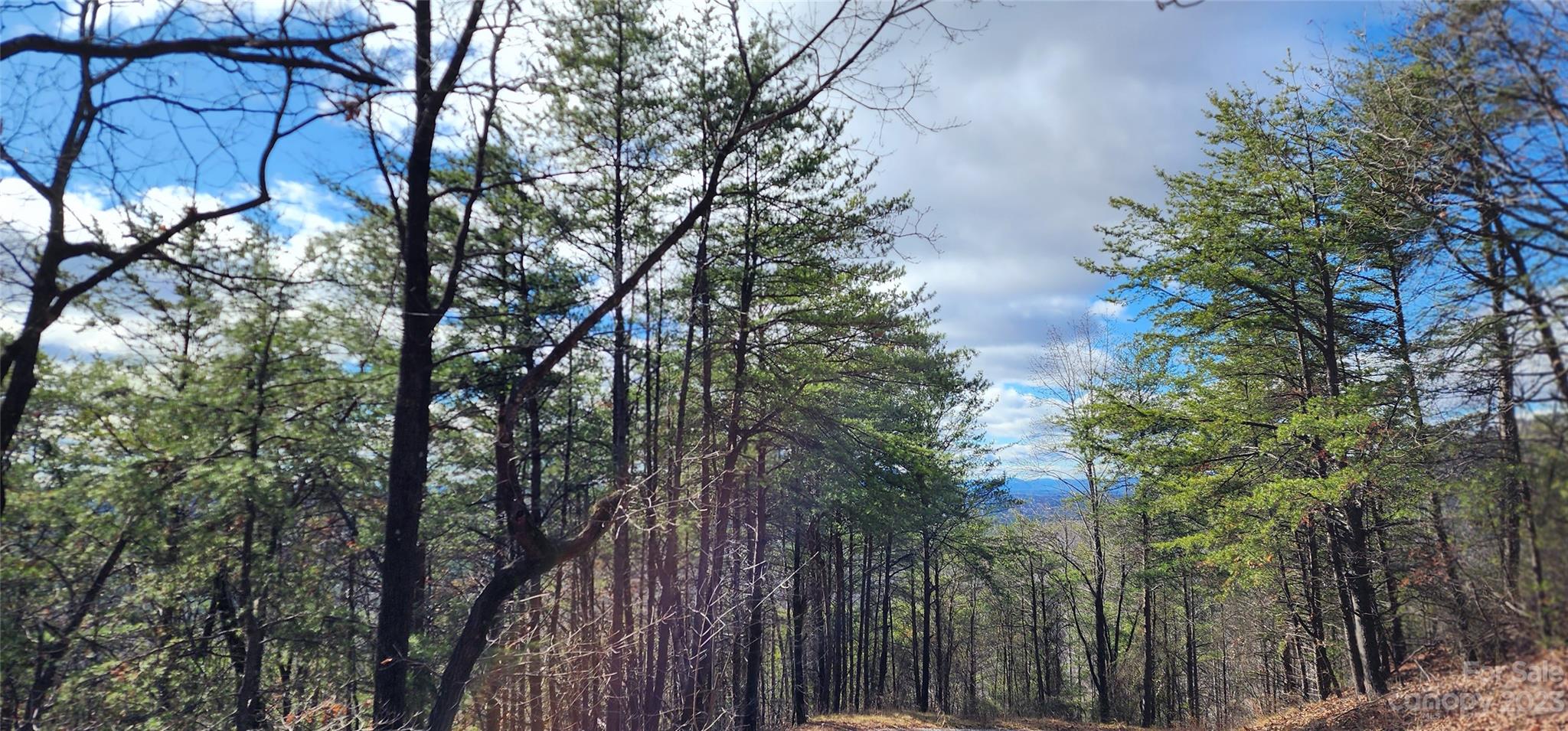 Pinnacle Ridge - Land