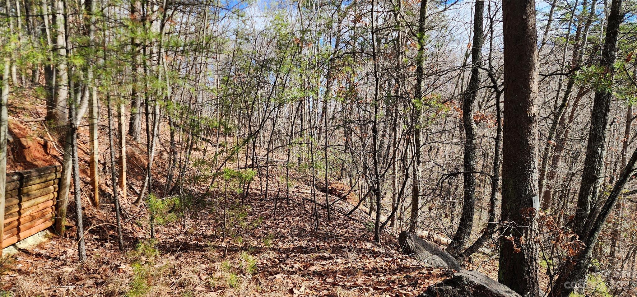 Pinnacle Ridge - Land