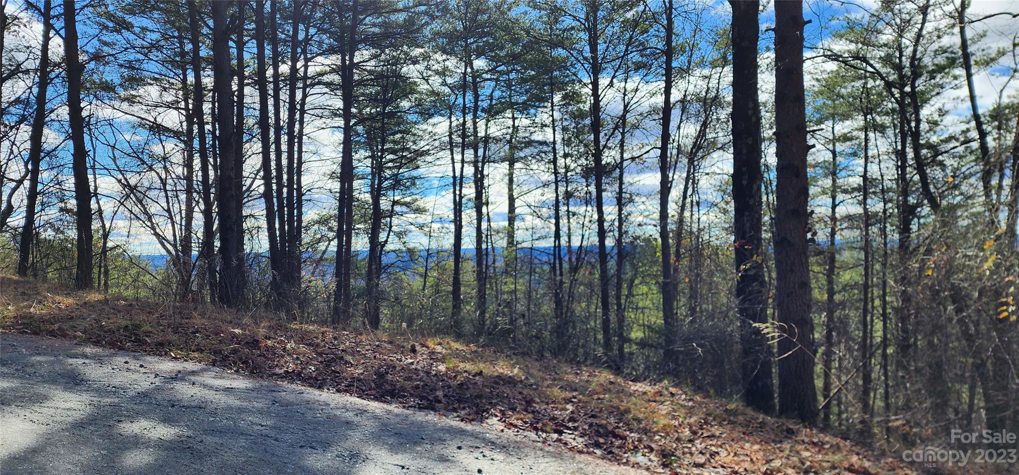 Pinnacle Ridge - Land