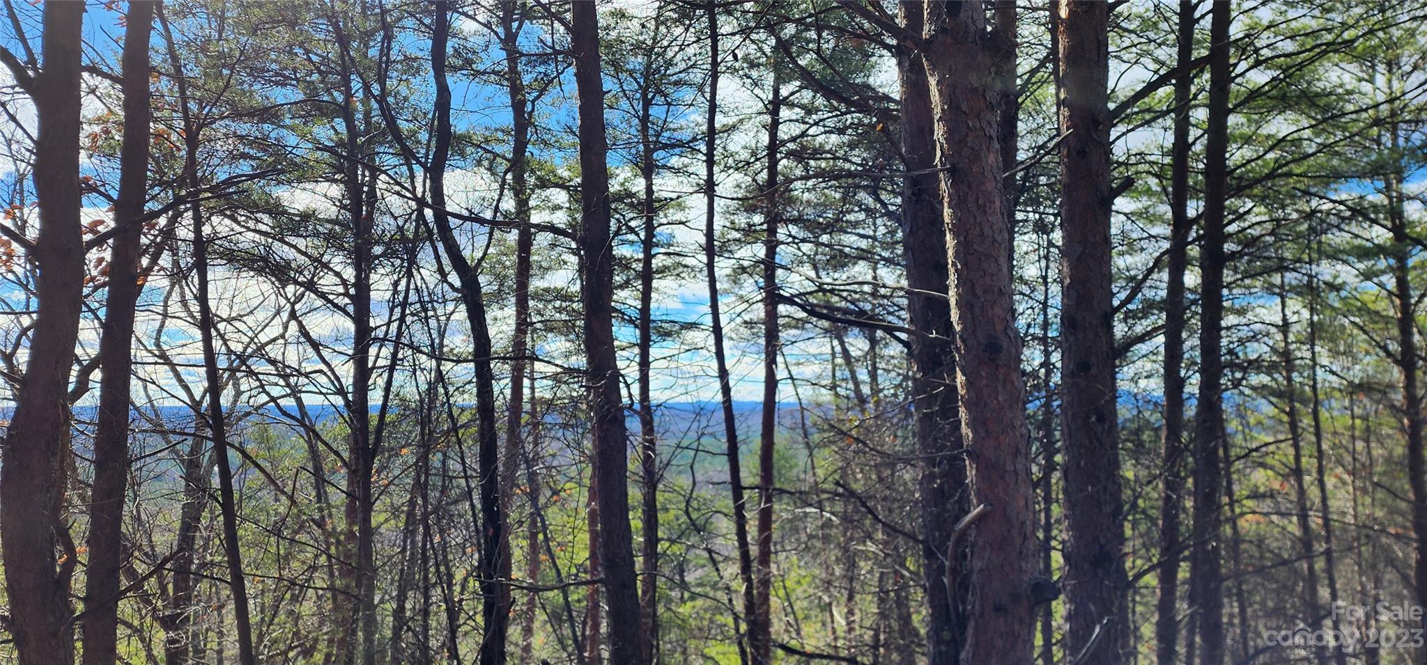 Pinnacle Ridge - Land