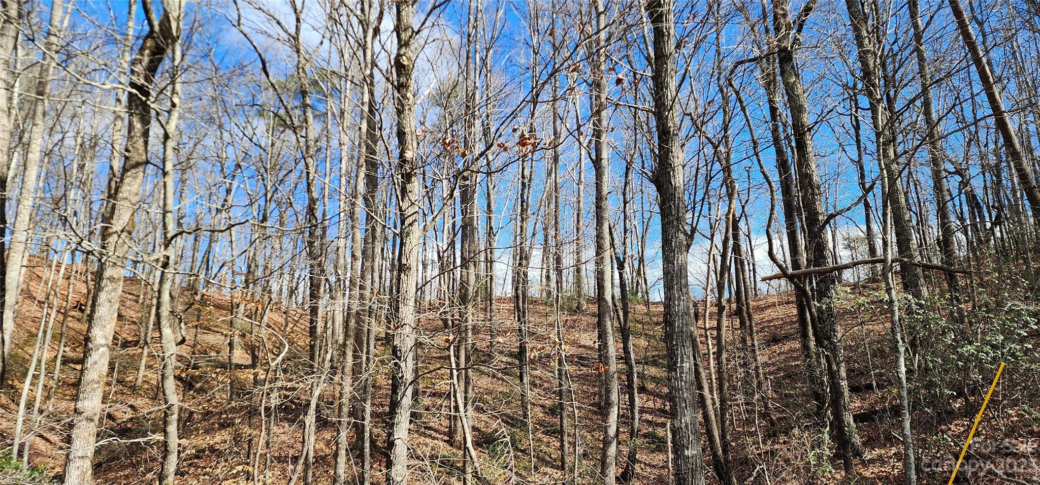 Pinnacle Ridge - Land