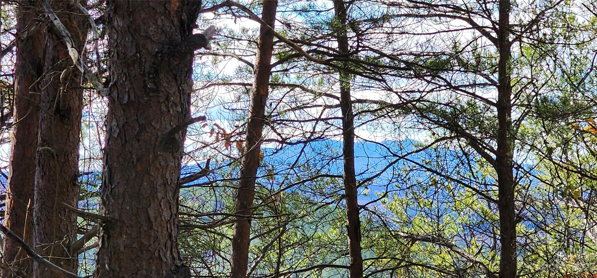 Pinnacle Ridge - Land