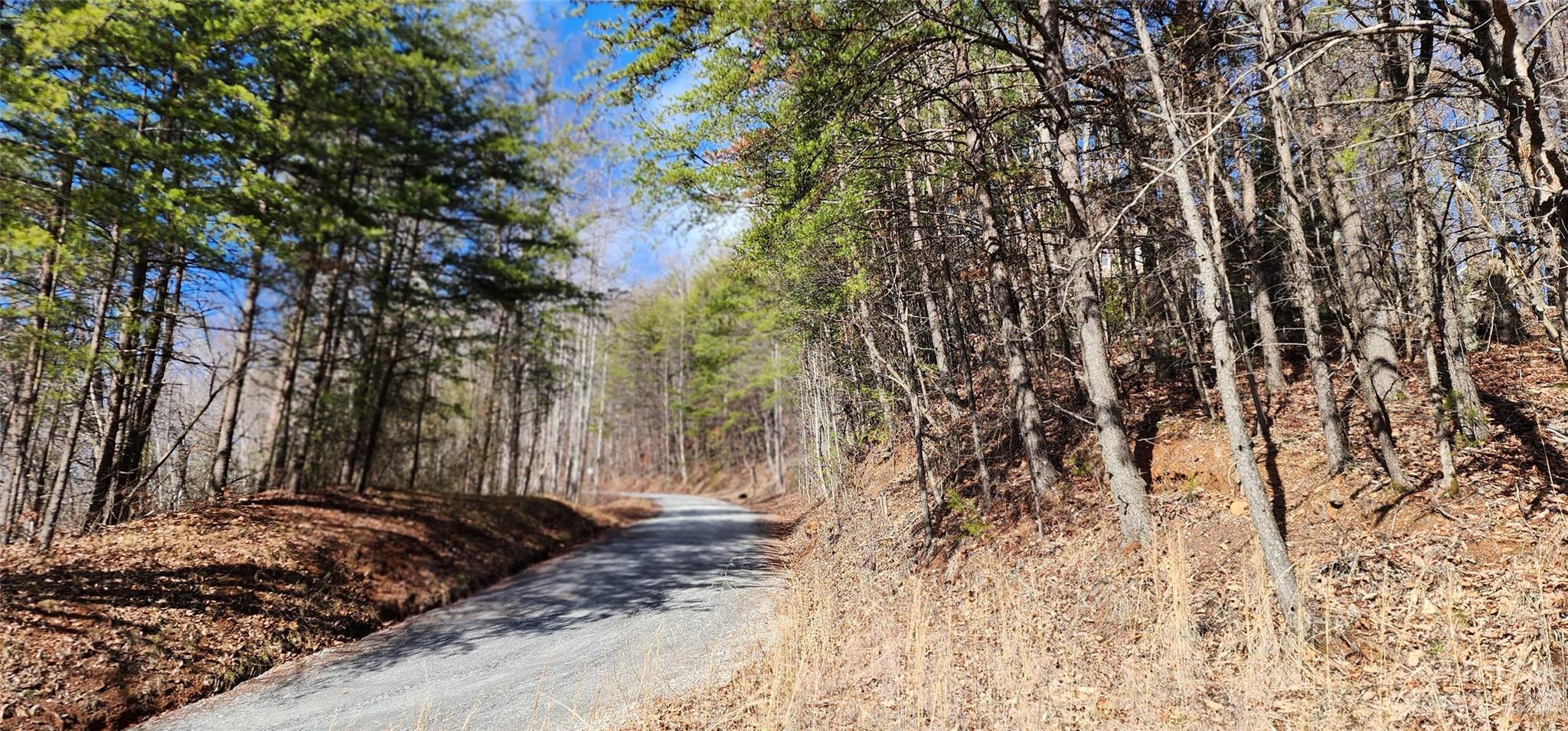 Pinnacle Ridge - Land