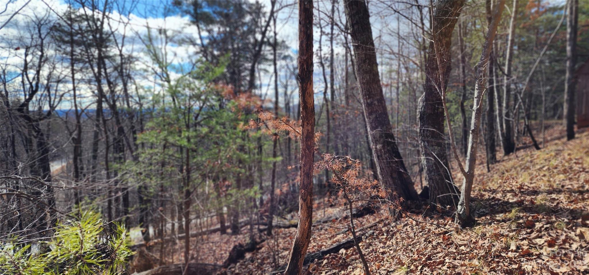 Pinnacle Ridge - Land