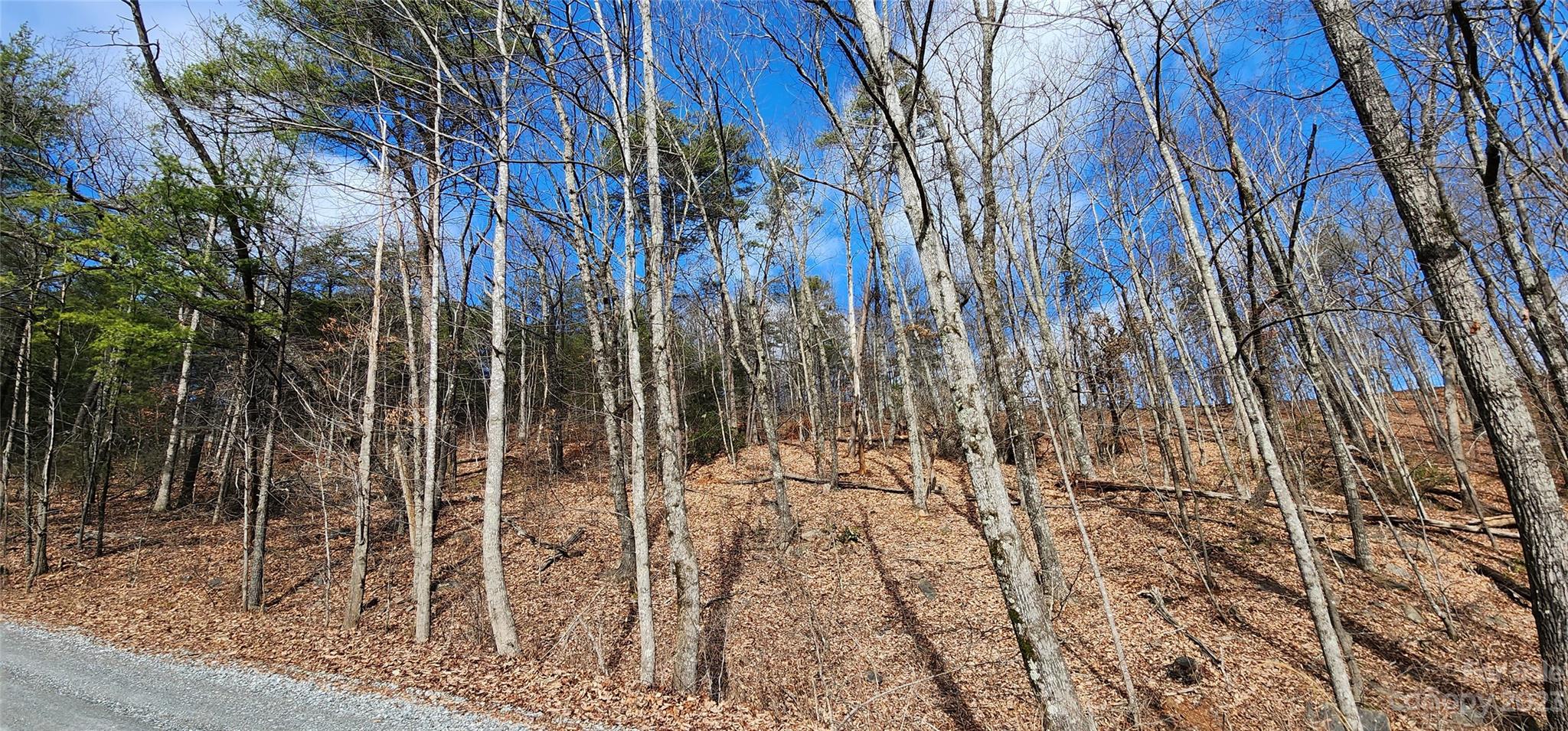 Pinnacle Ridge - Land