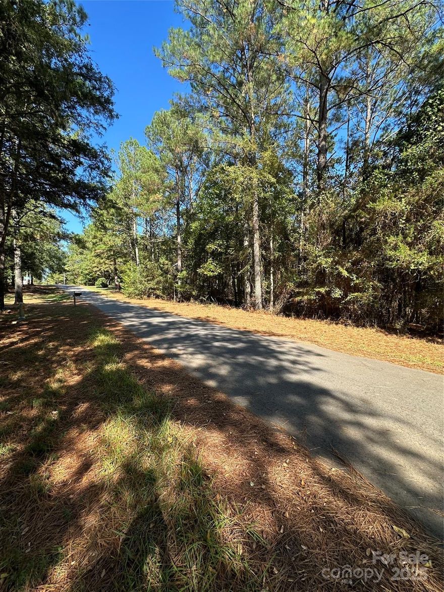 Opportunity awaits on this (+/-).433-acre lot on Lanksford Drive in Fort Lawn! Fully wooded and untouched, this property is a blank canvas ready for your vision. Enjoy the natural beauty and privacy of this peaceful setting while staying just minutes from local conveniences. A rare chance to create something truly yours in a serene, tucked-away location.