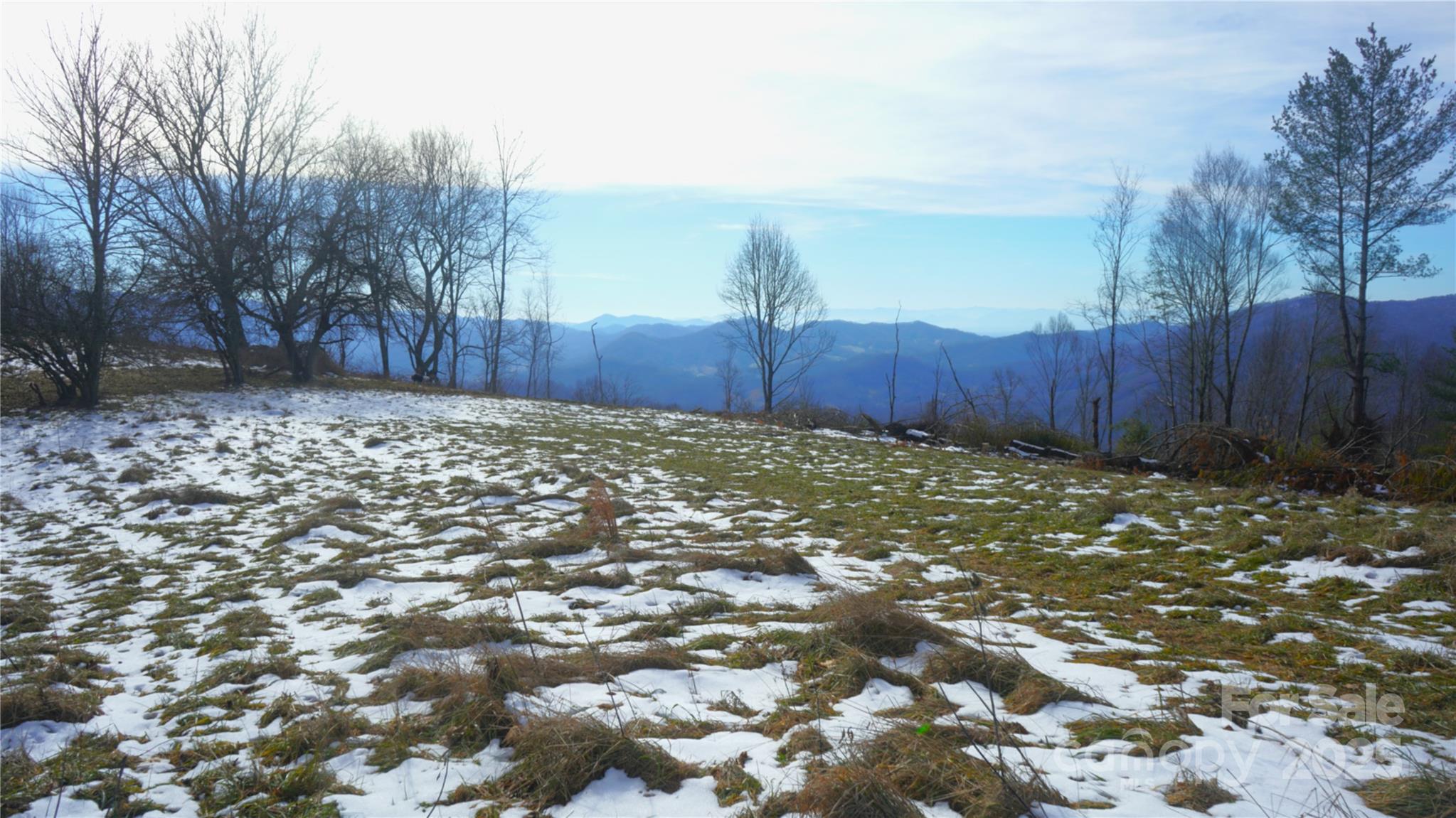 SR-1386 W Sang Branch, Hog Branch Road W