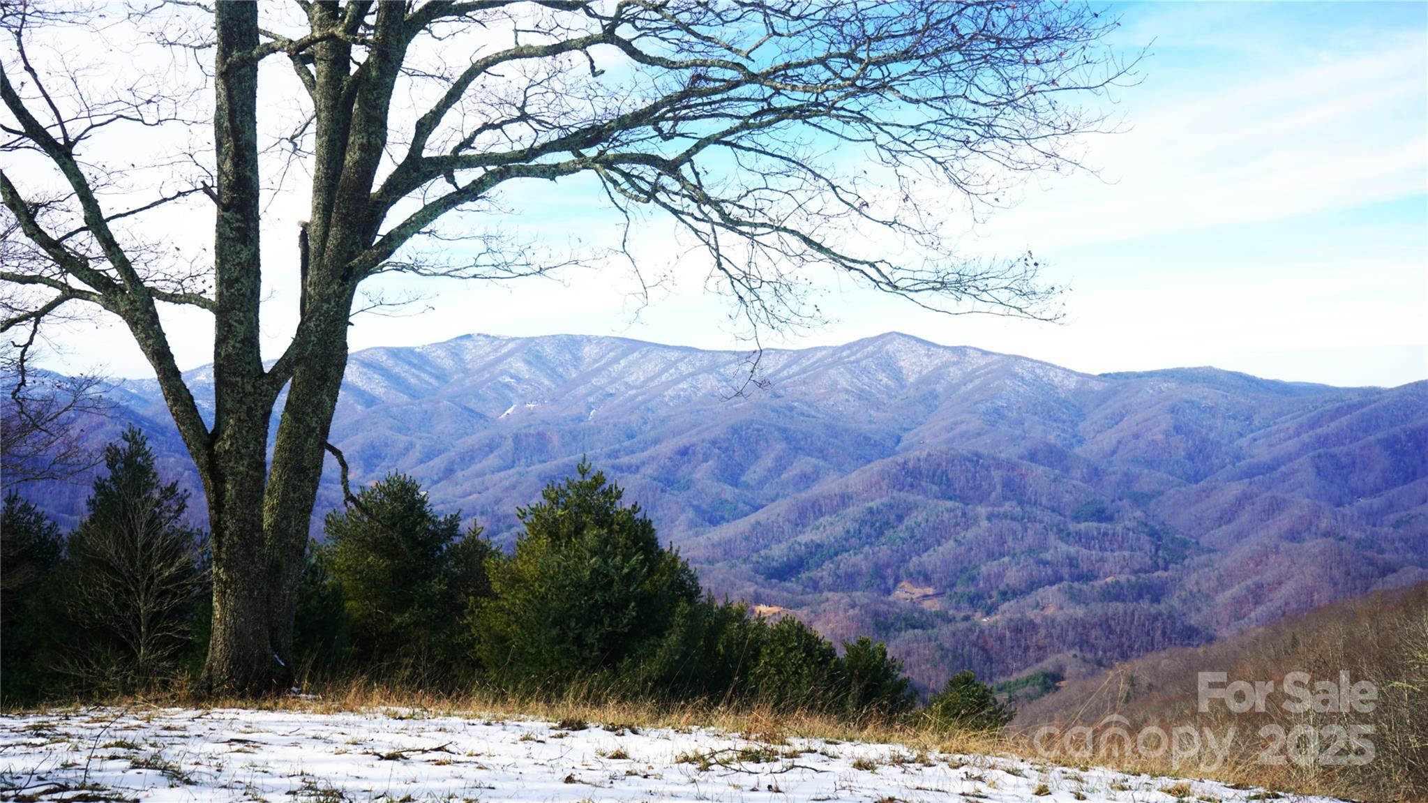 SR-1386 W Sang Branch, Hog Branch Road W