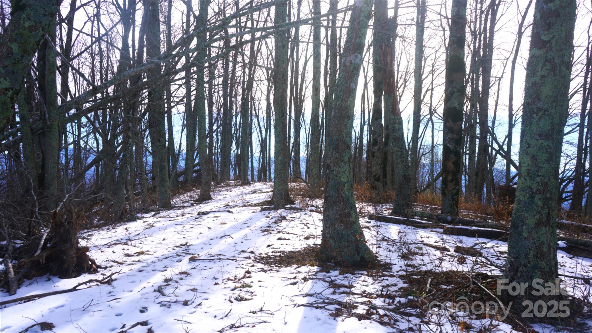 SR-1386 W Sang Branch, Hog Branch Road W