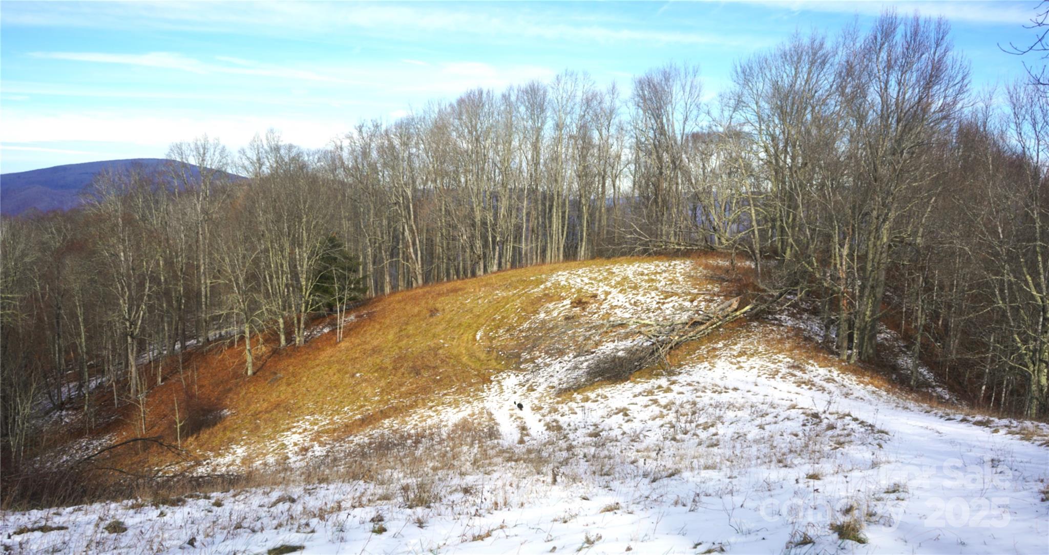 SR-1386 W Sang Branch, Hog Branch Road W