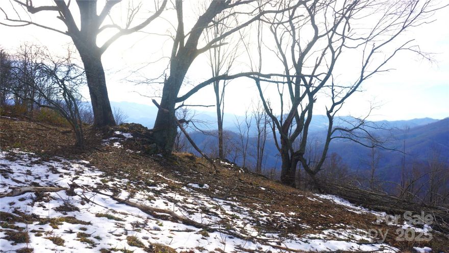 Located in northwest Yancey County, a magnificent acreage retreat and investment, extremely private, at the end 
 of state roads. A pristine mountain cove property, at the head of two watersheds, with exceptional long-range,
 layered, high elevation panoramic views. Hardwood forests with high elevation meadows, head water springs,                     wildlife and ultimate privacy. 
 Shown by appointment only to well qualified prospects. Restricted, not a development property. Cash or owner           financing only. Perfect for conservation easement, one or two homes or mountain top lodges. Truly a superlative mountain legacy property.
 Contact listing agent for all showings.  NO DRIVE BYS.