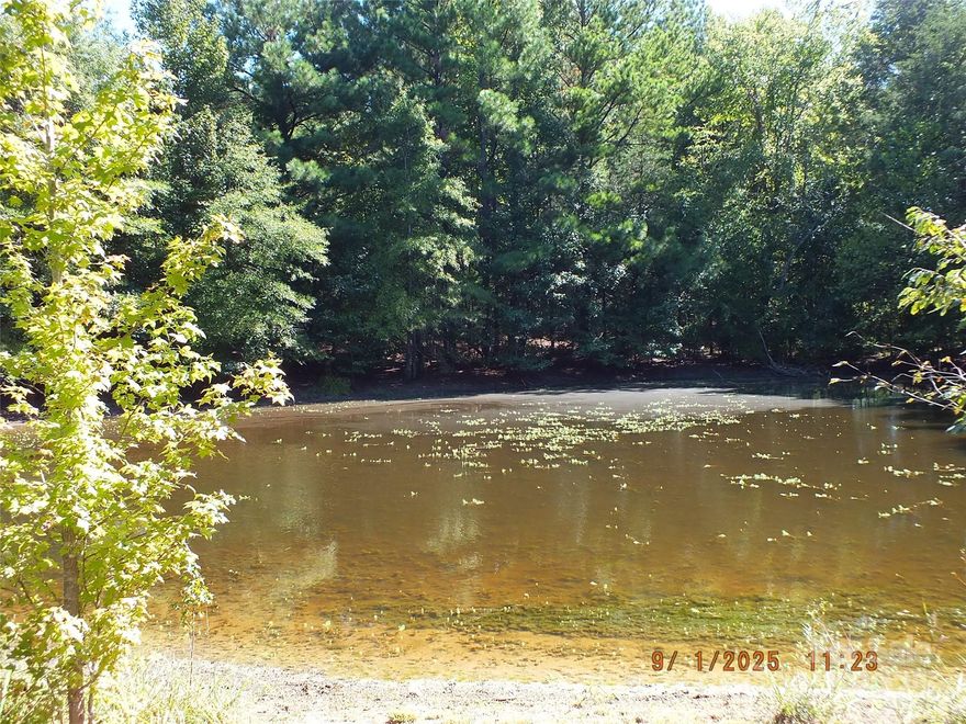 Private and ready for your new home, this land is over 8.5 acres, frontage is cleared, has a pond and lots of acres to find the perfect location for your needs. Front offers a storage building, there is a RV there that is not included in this sale, but seller will sell for $7500.00, perfect to live in while building, walk through the woods and enjoy the lay of the land. 247.7 foot of road frontage, remember, they not making any more!