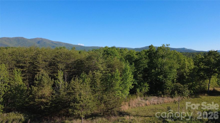 Tucked inside the gated waterfront community of The Peninsula at Lake James, this 1.56-acre interior lot offers a gently sloping canvas ready for your dream home. Whether you're envisioning a full-time residence or a mountain retreat, short-term rentals are permitted — making this an equally compelling investment opportunity.
The lot rolls softly with potential winter views of Shortoff and Hawksbill Mountains, and a community well is already in place. Residents enjoy an impressive amenity package: a waterfront pool with picnic area and bathrooms, a floating community day dock, and convenient boat storage — all within walking distance of the lake.
Adventure is right outside your door. Black Bear Marina, Fonta Flora Brewery, and the Fonta Flora Trail for hiking and mountain biking are just minutes away. When you need a bit more, Marion is 18 minutes out, Morganton 20, Linville Falls 40, Asheville an hour, and Charlotte Douglas International just 90 minutes.
This is your chance to plant roots in the heart of the Blue Ridge Mountains.