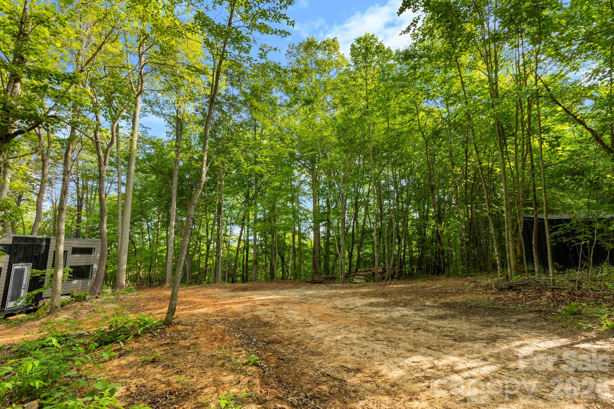 Driveway to potential homesite