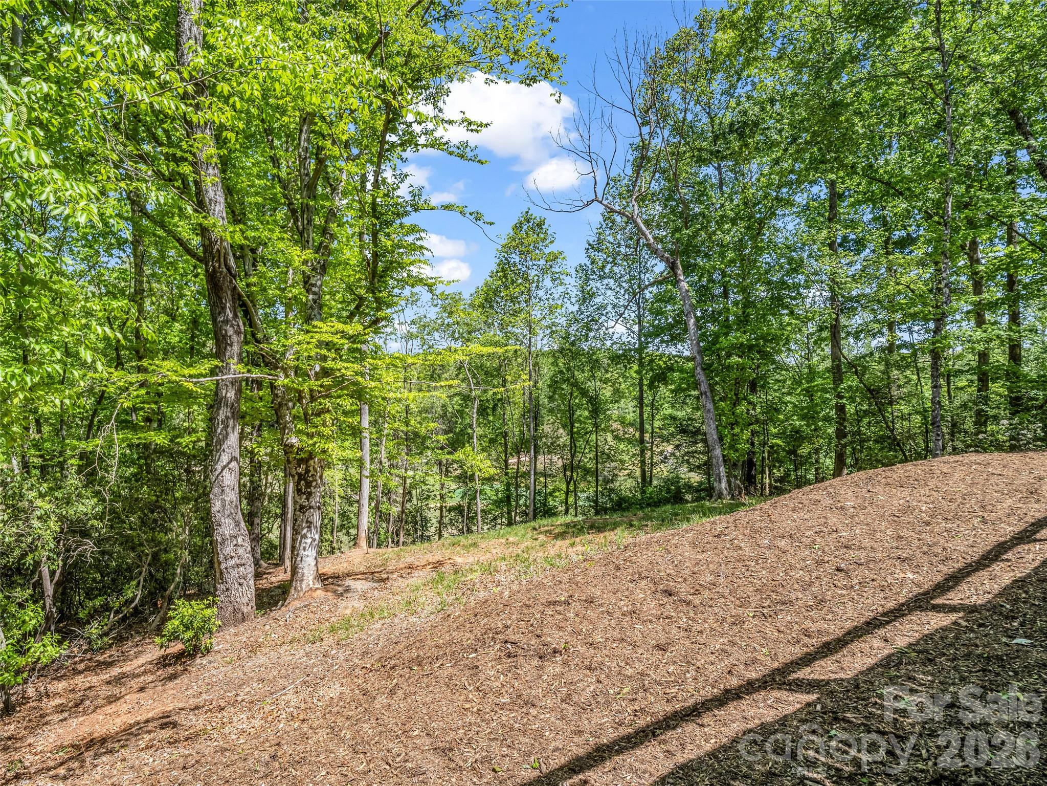 Rumbling Bald on Lake Lure - Residential