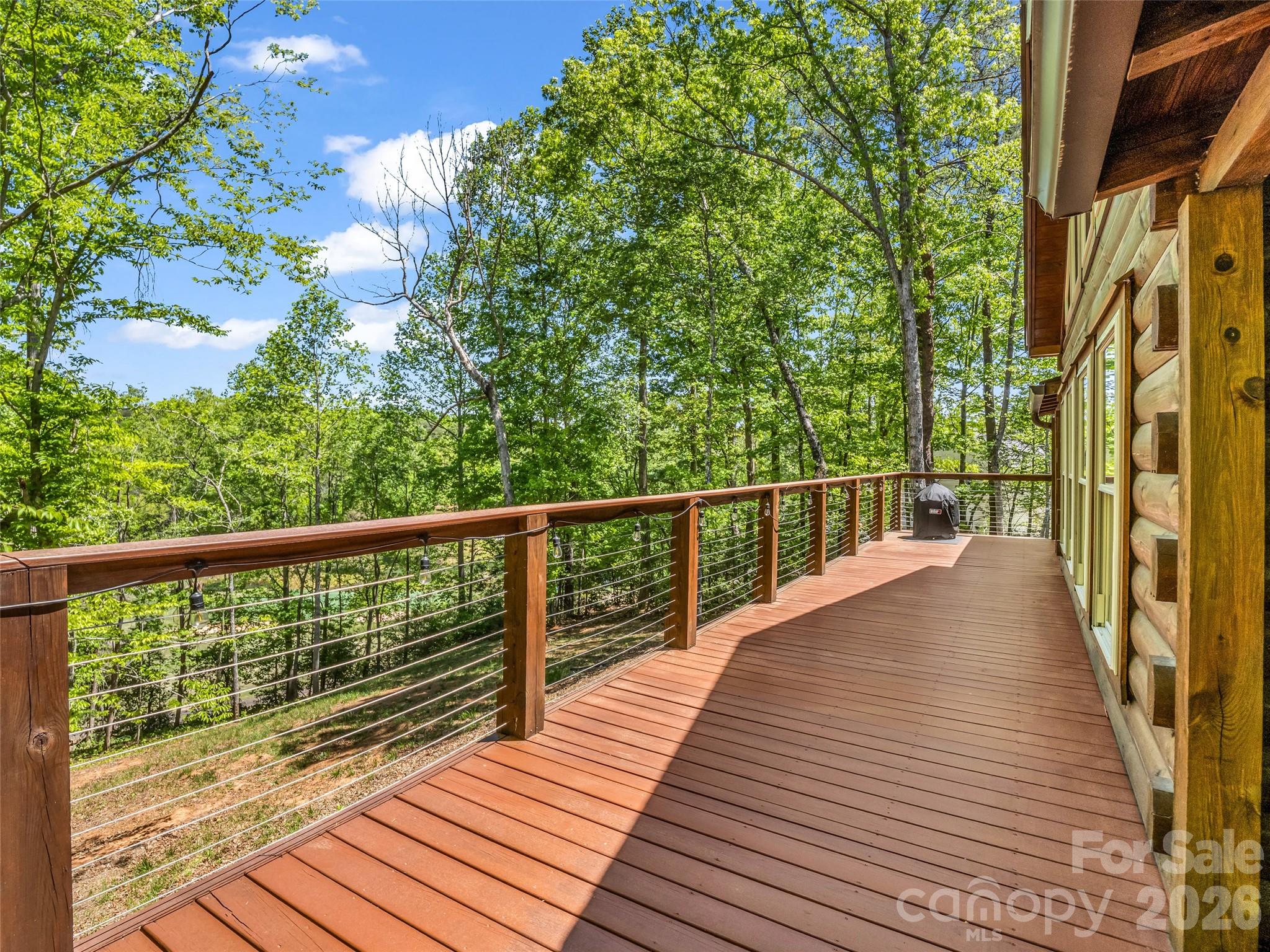 Rumbling Bald on Lake Lure - Residential