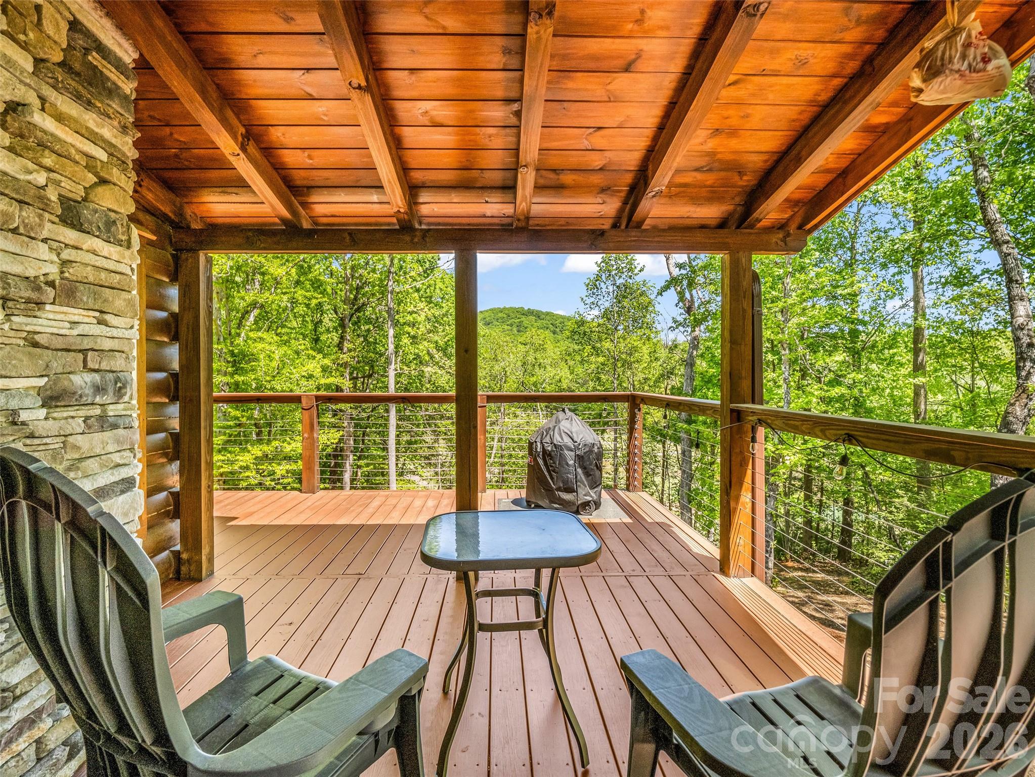 Rumbling Bald on Lake Lure - Residential