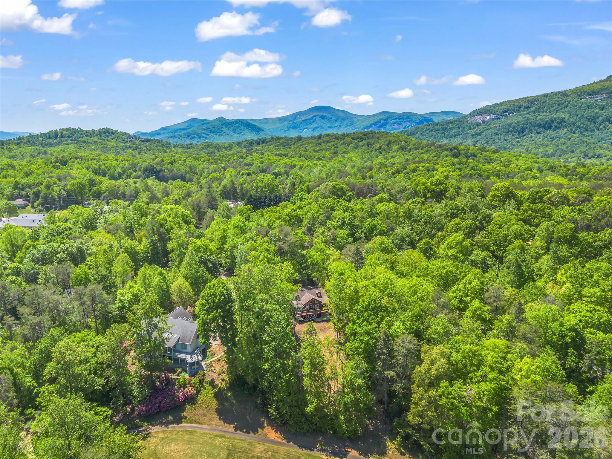 Rumbling Bald on Lake Lure - Residential