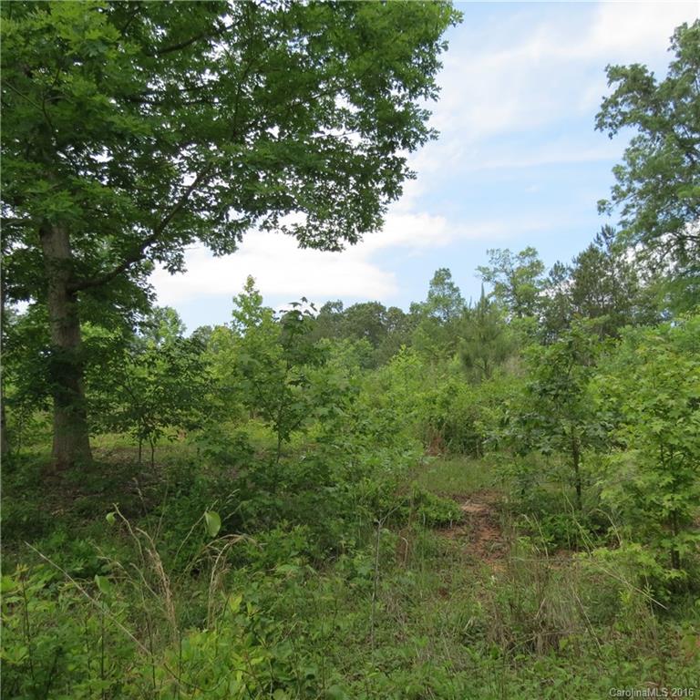 Flying Eagle Estates - Land