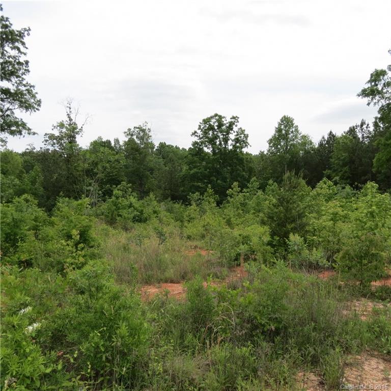 Flying Eagle Estates - Land