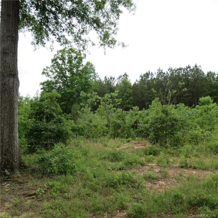 Flying Eagle Estates - Land