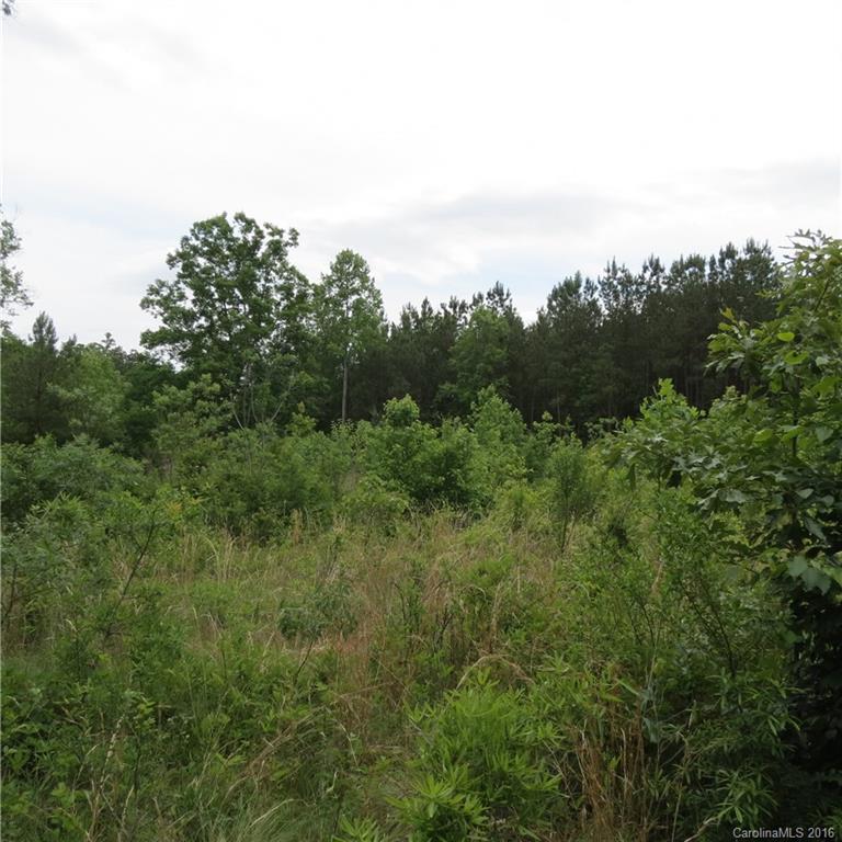 Flying Eagle Estates - Land