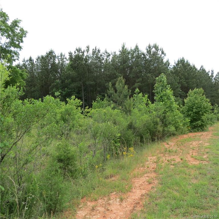 Flying Eagle Estates - Land