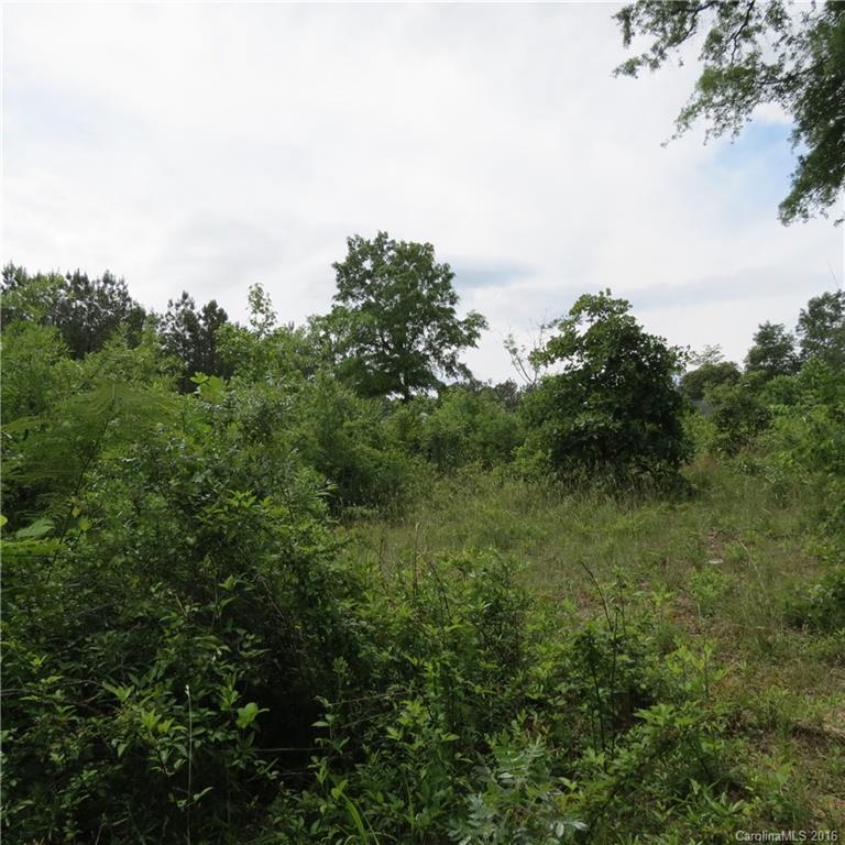 Flying Eagle Estates - Land