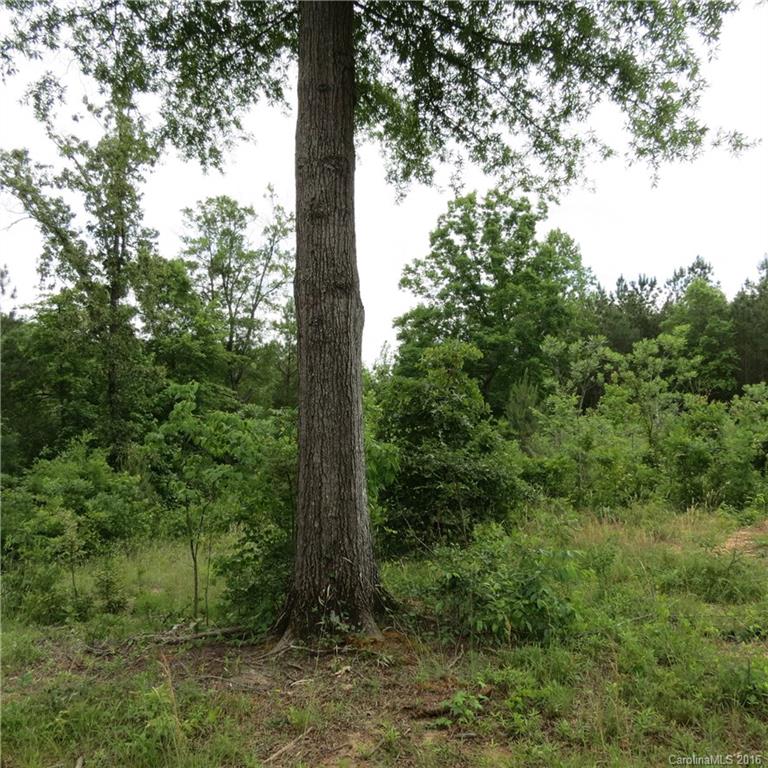 Flying Eagle Estates - Land