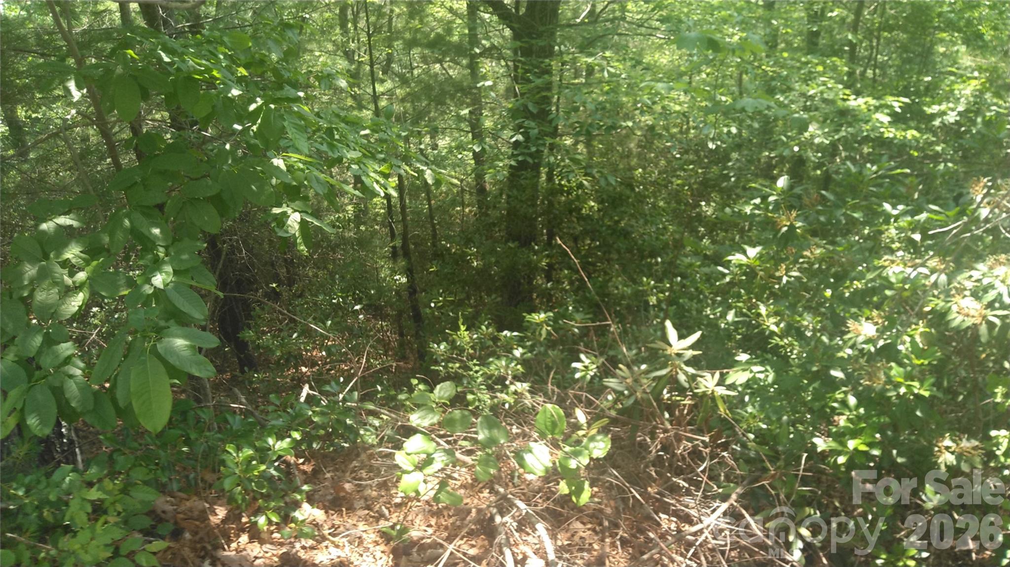 Lot 2F Seminole Path