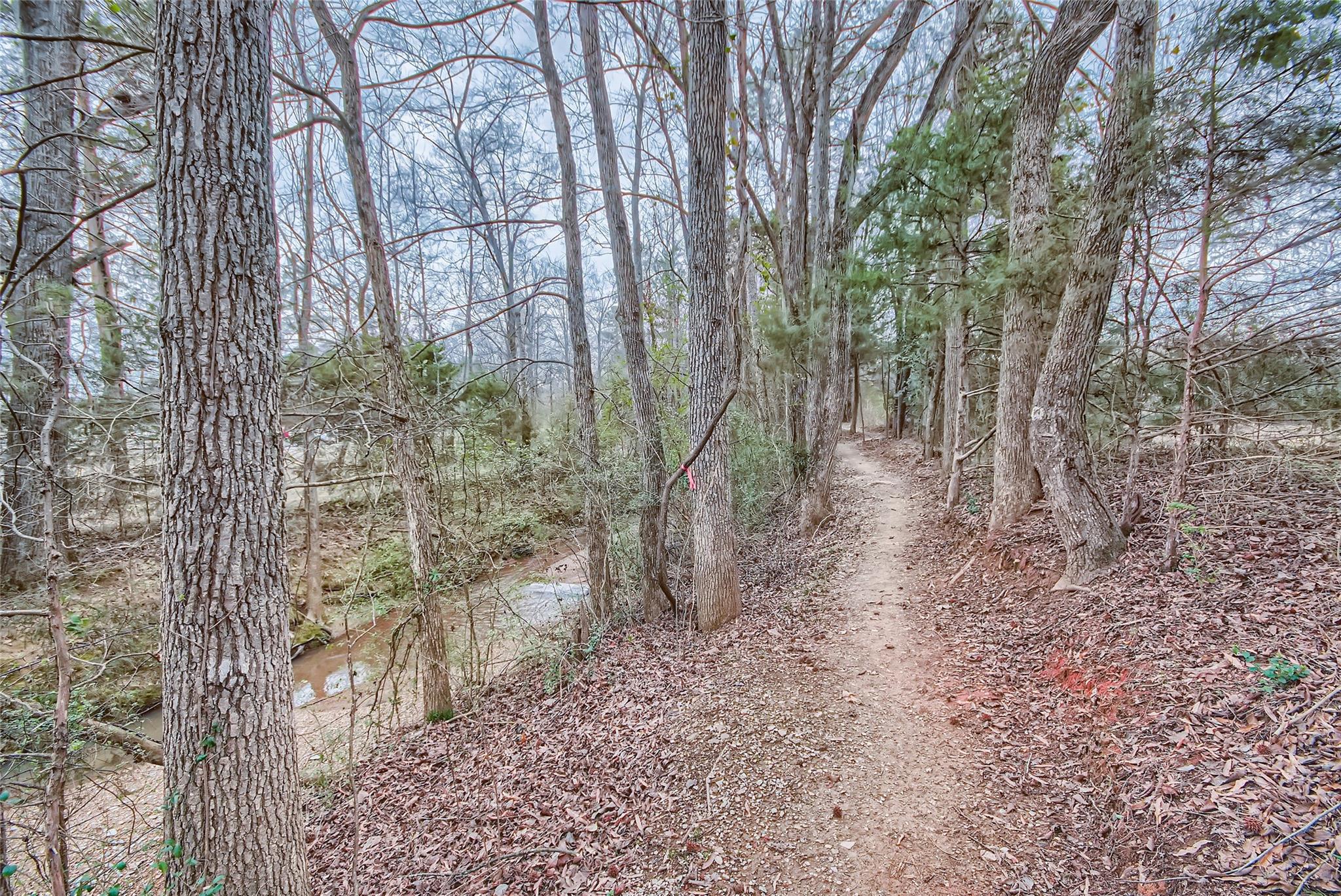 Wyntree - Residential