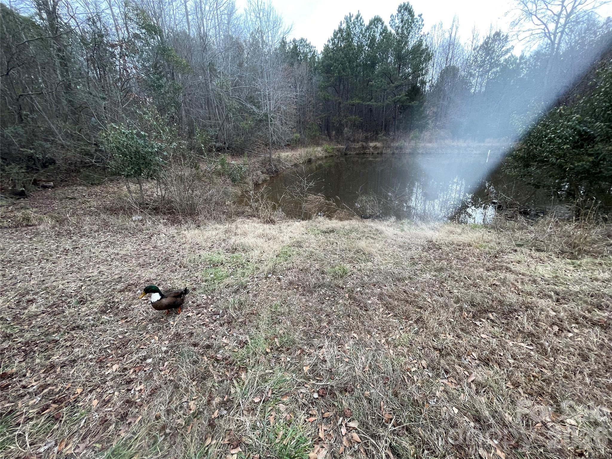 1797 Nc 109 Highway N