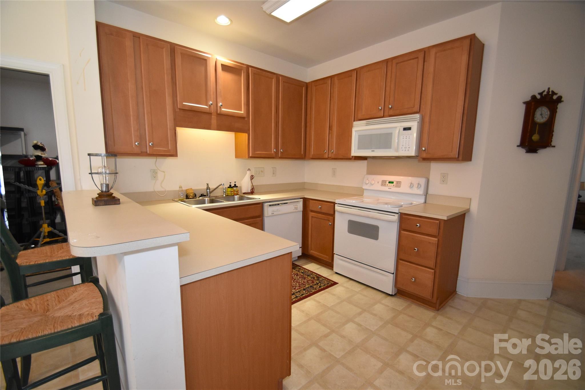 Village of Woodridge - Residential