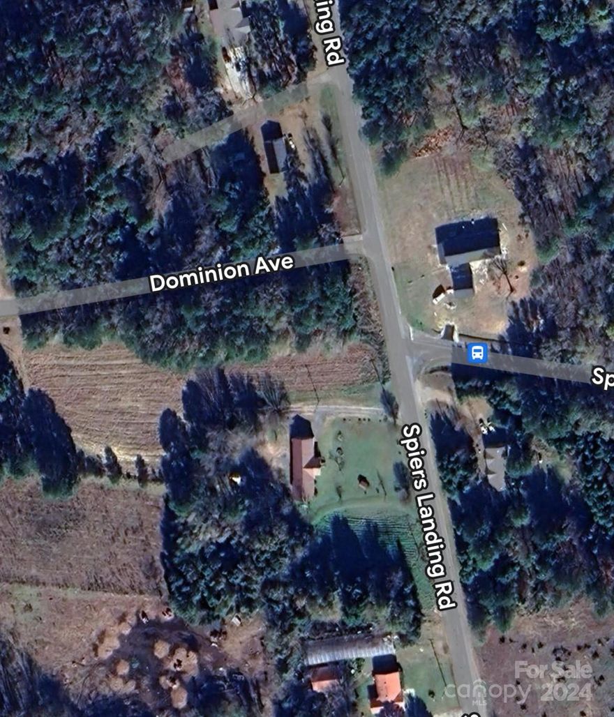 Welcome the lot for your new home in the charming community of Cross, SC, just a stone's throw away from the serene Spiers Park! Nestled on a spacious one-acre lot, this property offers the perfect blend of comfort, convenience, and natural beauty.

On your expansive one-acre lot, create your own private oasis whether you enjoy hosting summer BBQs or simply unwinding after a long day, this outdoor space is sure to be your favorite retreat.

Located near Spiers Park, residents have easy access to a range of outdoor activities, from picnicking to hiking, fishing, and more. Additionally, walk, hike, bike, mountain bike, horseback, ATV, or paddle at the park which offers a paved water with a length of 12.50 miles!

Don't miss out on the opportunity to call this property home. Schedule your showing today and experience the best of Cross living!