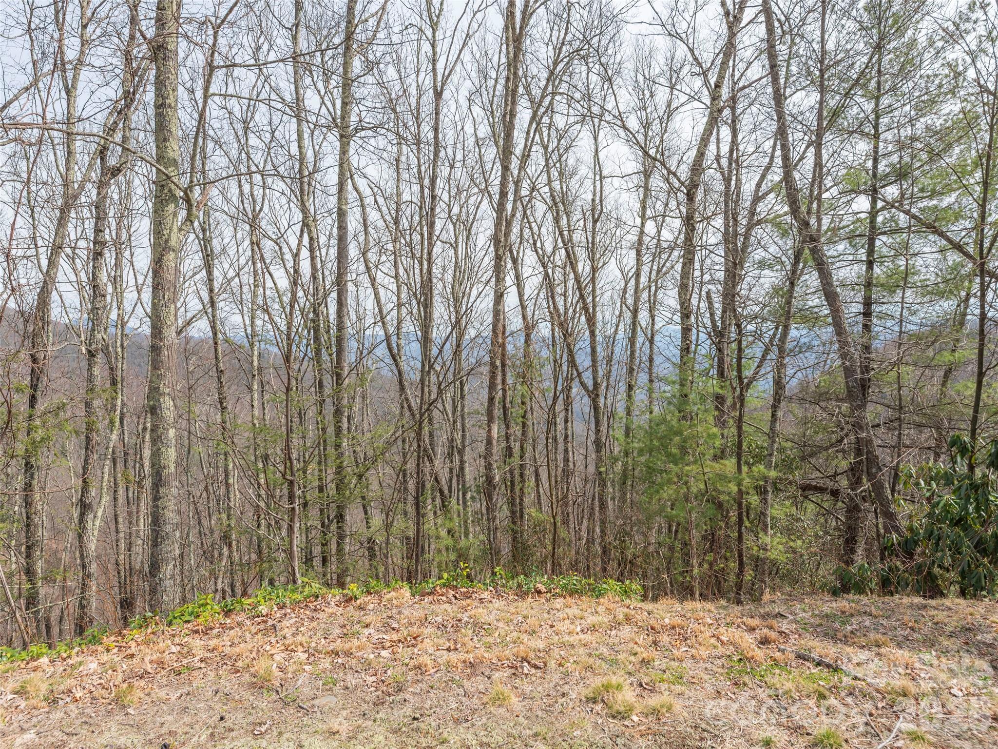 0000 Sigogglin Trail 4