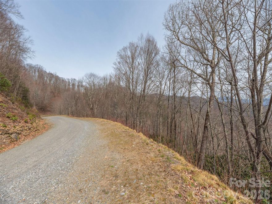 The Dream of The Divide! This parcel offers long-range, layered, mountain views that will absolutely take your breath away! Not often does one have direct private access to the GSMNP but here you will! Only a stones throw away from the Cataloochee Divide hiking trail, you will have walkable private access to the park that only residents of The Divide can use. A walkout basement is likely needed on this lot depending on building plans. The possibilities are endless to build your true mountain retreat. The Divide is one of one when it comes to Western North Carolina. Experiencing Nature, Peace, and Privacy at it finest!