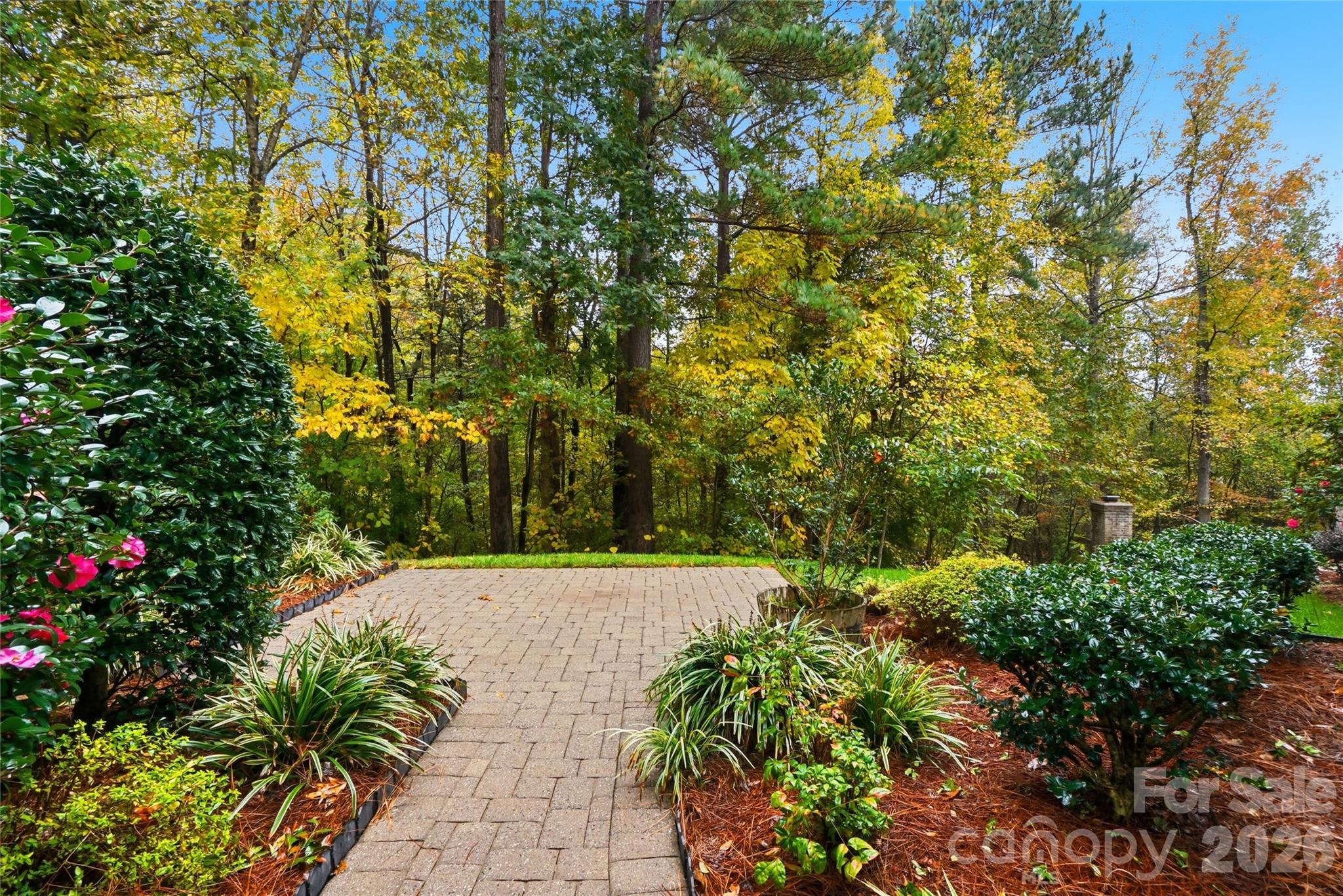 Verdict Ridge - Residential