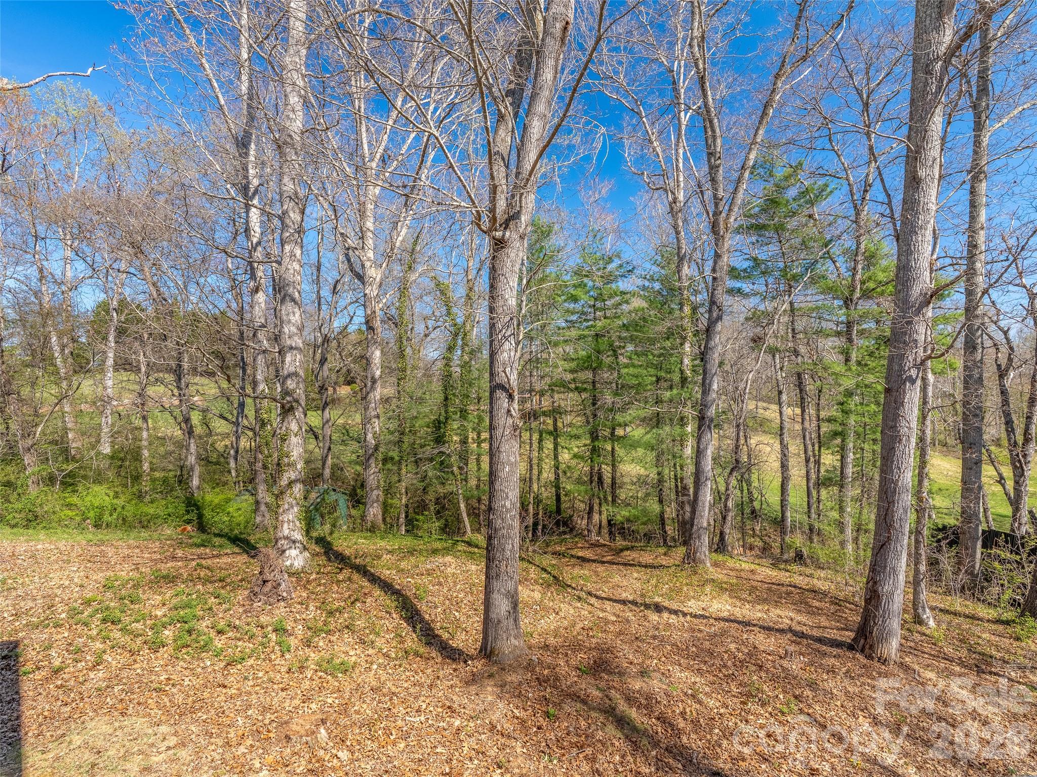 Jackson Cove - Residential