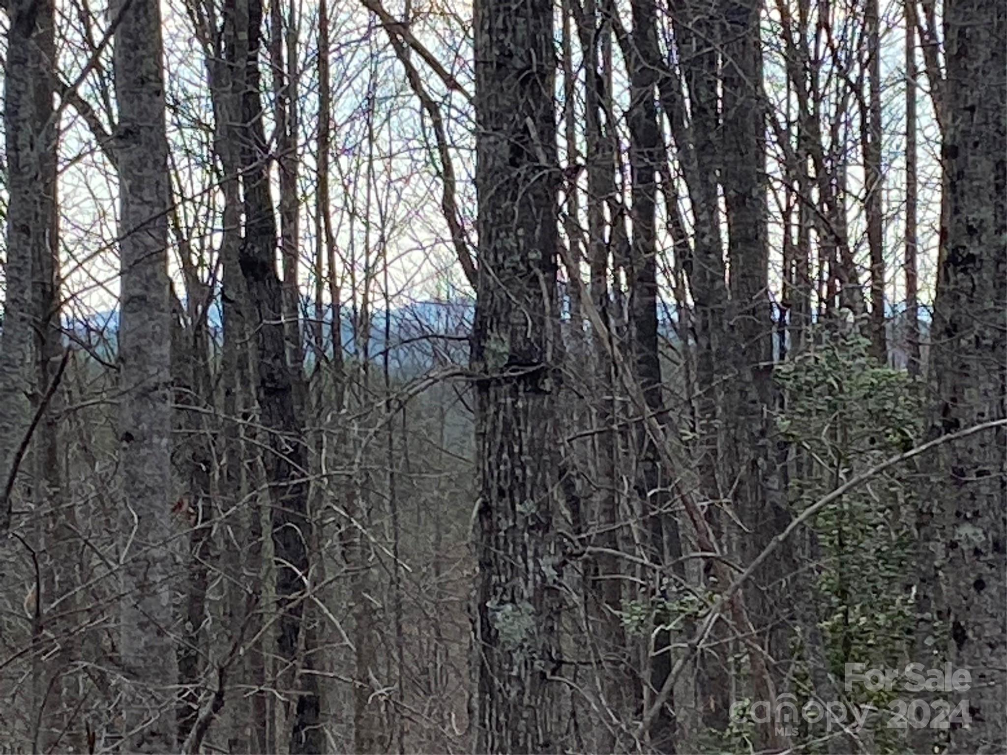 1483 Round Mountain Parkway 59