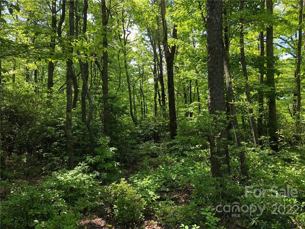 Lot #65 Marshall Ridge Road