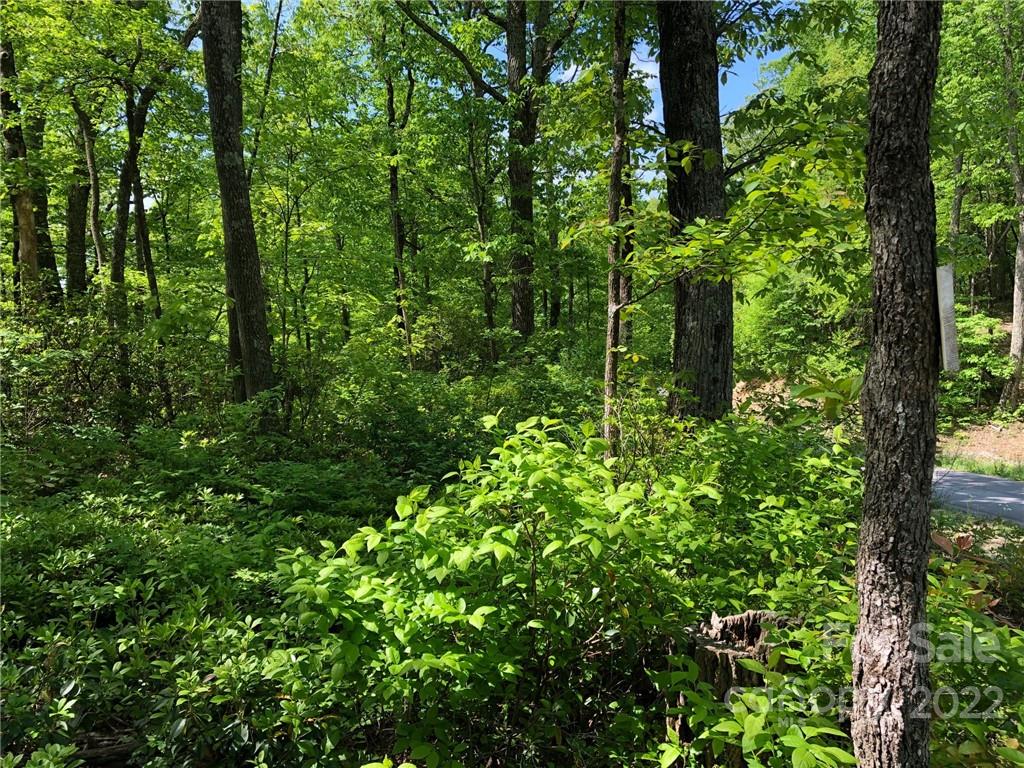 Lot #65 Marshall Ridge Road