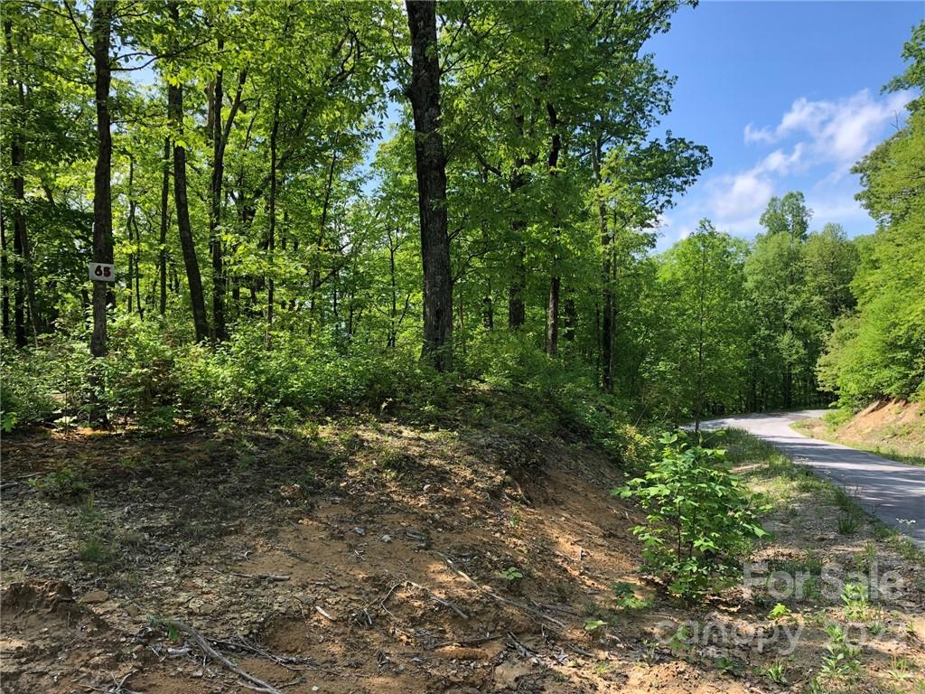 Lot #65 Marshall Ridge Road