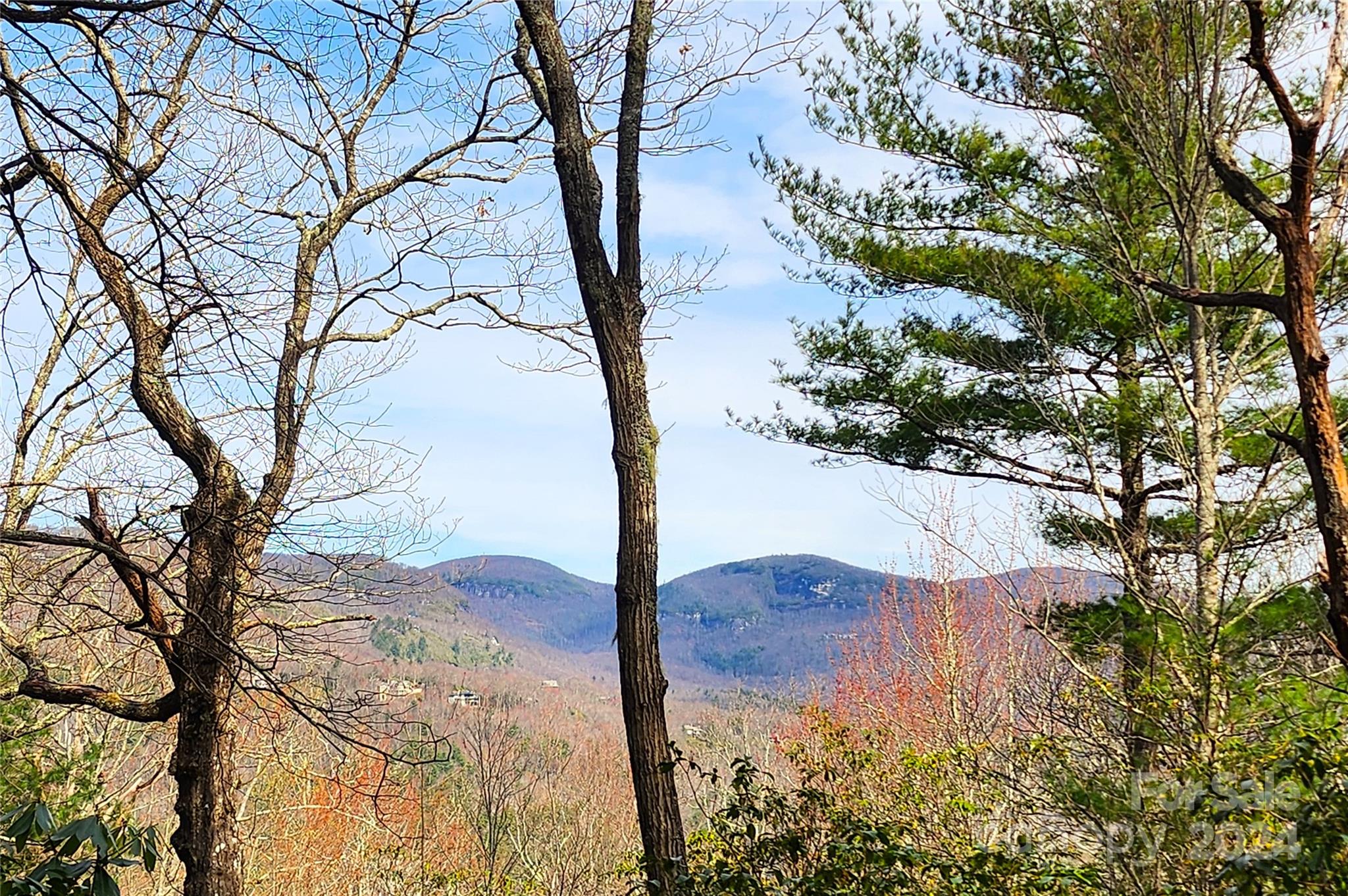 Lake Toxaway Estates - Land