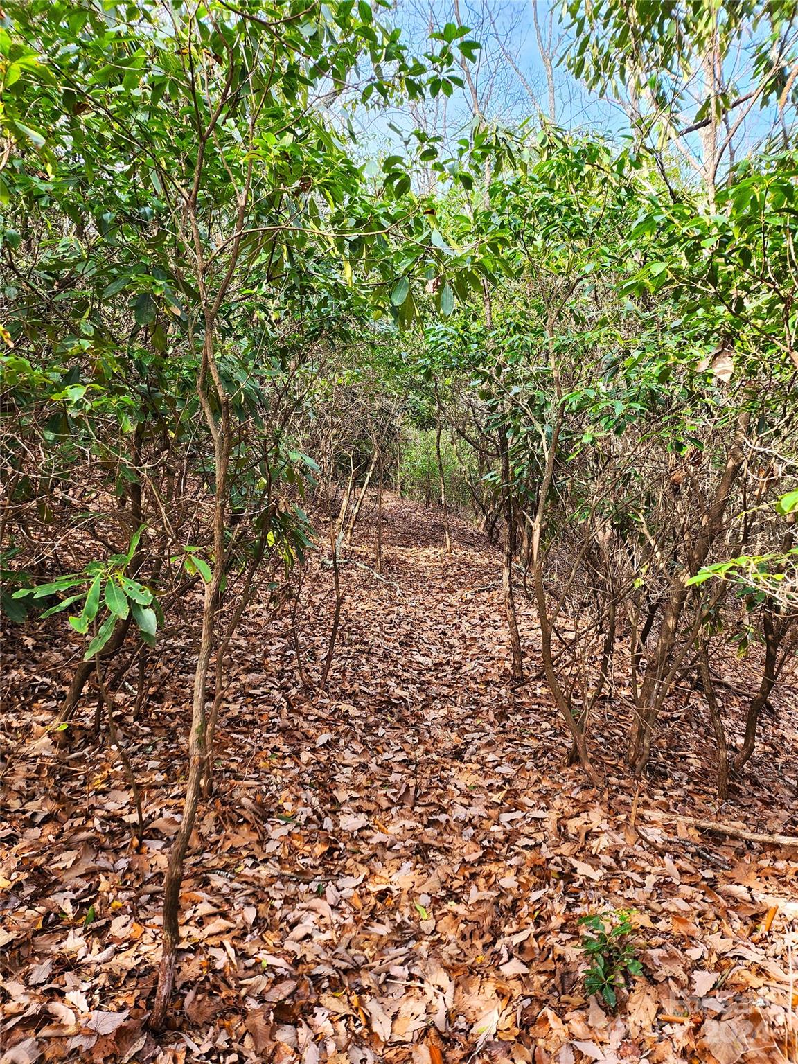 Lake Toxaway Estates - Land