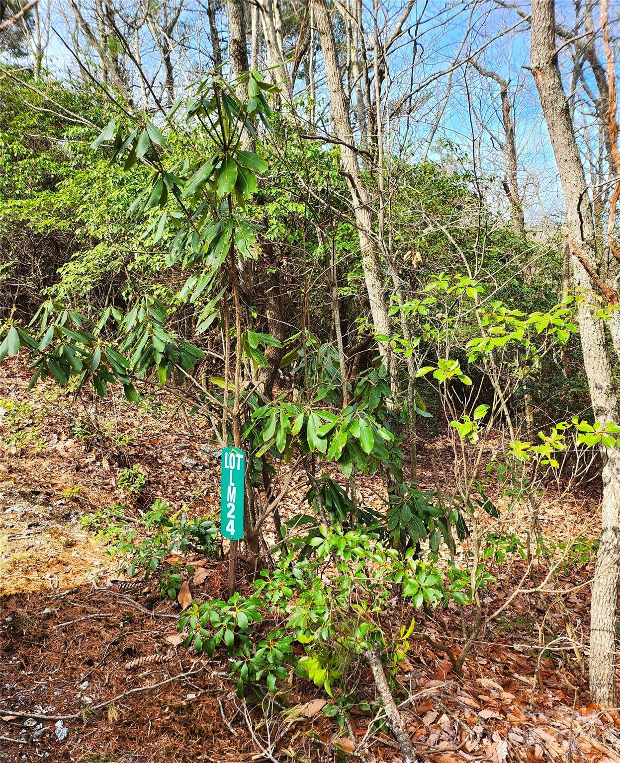 Lake Toxaway Estates - Land