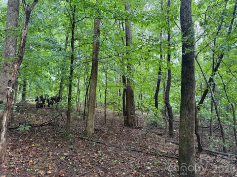 Photo of 3117 Shirley Drive, Charlotte, NC 28214 (MLS # 4403933)