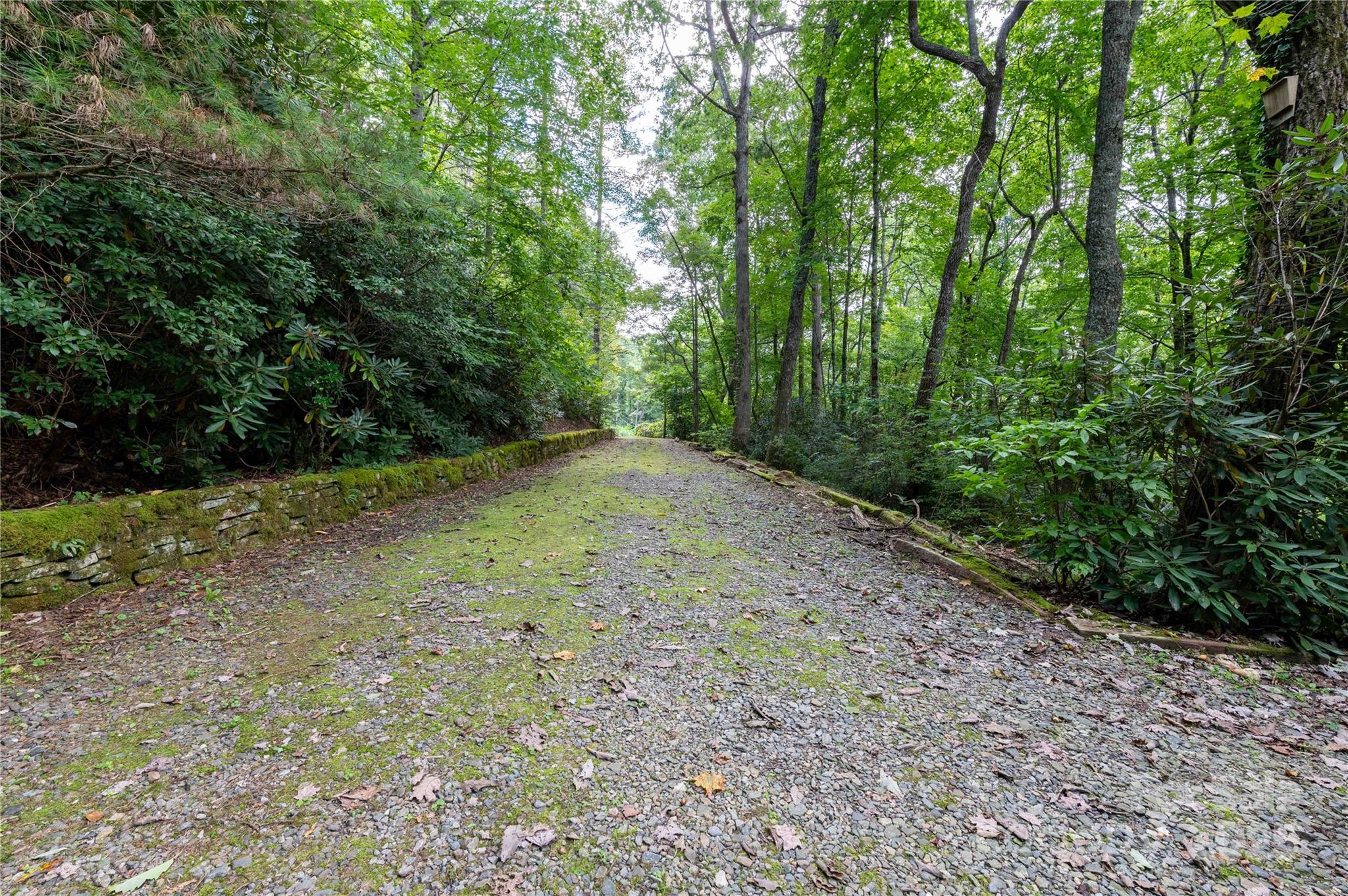 Mount Mitchell Lands - Residential