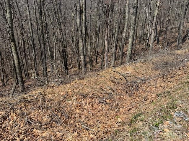 261 Grouse Thicket Lane