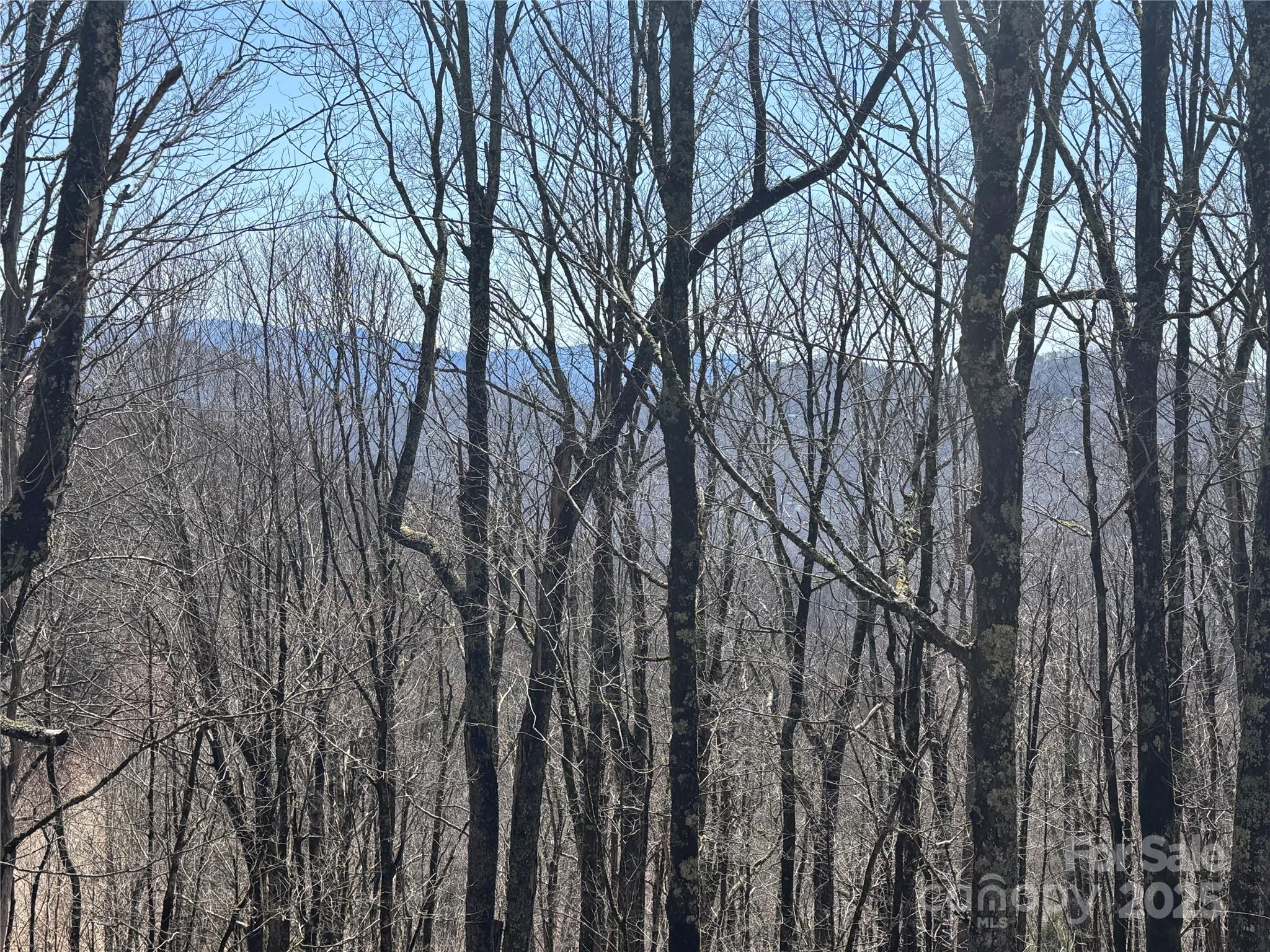 261 Grouse Thicket Lane