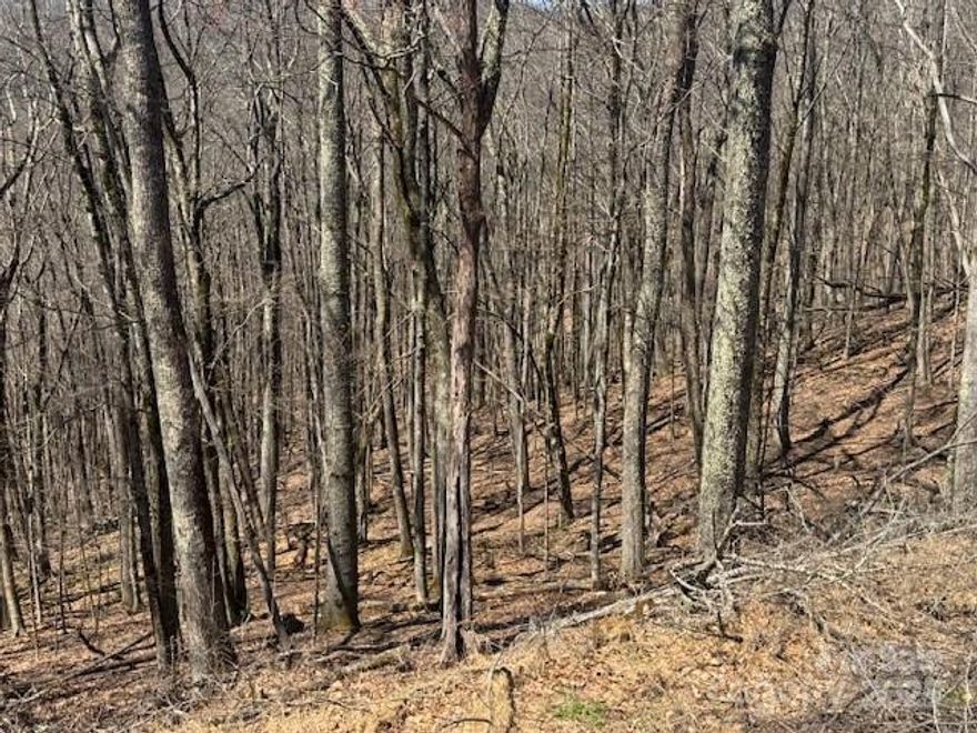 Nice building lot, bargain price in the Grouse Thicket section of Wolf Laurel, this is hi elevation, approx 4,700 FT, it is serene, with extreme views to the SW possible with allowed tree trimming.  There is a community water system in place, buyers will need individual septic.  Wolf Laurel boasts year round activities including, the new Hatley Pointe ski slopes, Wolf Laurel country club, and Village Club amenities.  Amenities are not included in HOA fees, and subject to separate, voluntary membership fees.  Non brokers must be accompanied for sec gate.